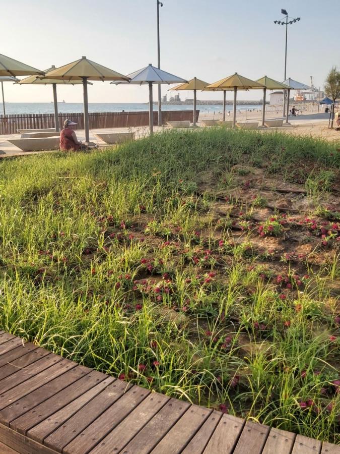 Studio By The Sea Leilighet Ashdod Eksteriør bilde